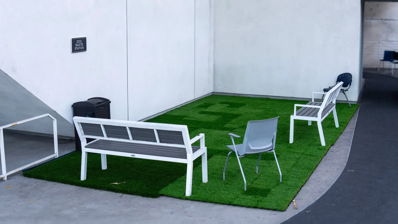 The new turf pet area at Star Apartments