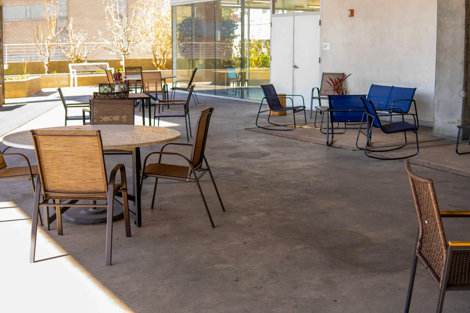The seating area after the renovation, with couches, rugs and plants